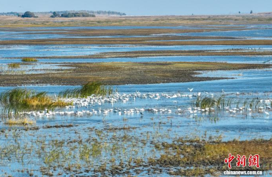 1016ĪĪҼ(j)Ȼo(h)^(q)(ni)ڑˮ(o˙C(j)Ƭ)w z