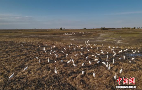 1016գڼĪĪҼ(j)Ȼo(h)^(q)(ni)QϢ(o˙C(j)Ƭ)w z