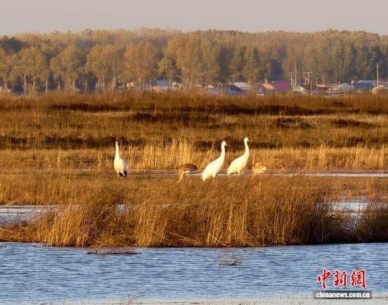 ؚwQȺġС()˰QȺwr z