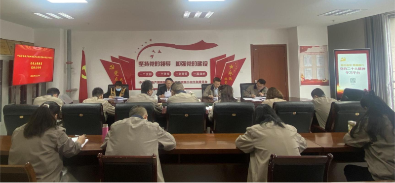 錘煉黨性找差距 堅(jiān)定信念促擔(dān)當(dāng)&mdash;&mdash;青海物產(chǎn)朝陽物流開發(fā)投資有限公司黨支部開展主題教育黨性大討論
