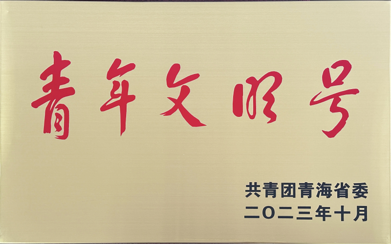 青海省臨空經(jīng)濟區(qū)開發(fā)投資有限公司榮獲 &ldquo;第21屆青海青年文明號&rdquo;