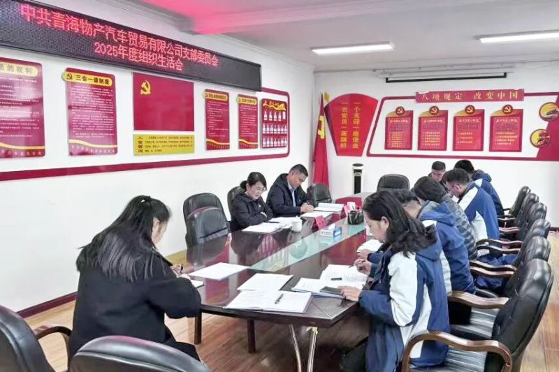 汽貿(mào)公司黨支部召開2025年度組織生活會(huì)