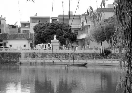 老鄉(xiāng)眼里的李河君：陌生富豪，夫人助其發(fā)財(cái)